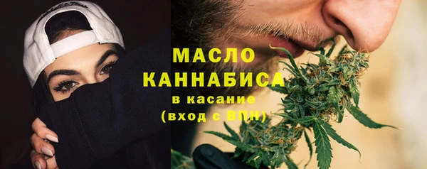 молекула духа Мегион