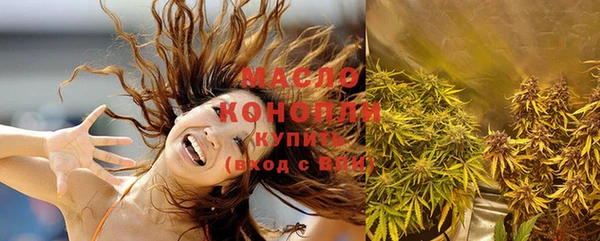 молекула духа Мегион