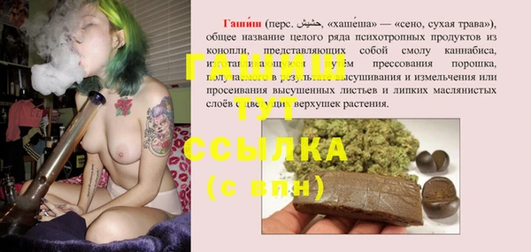молекула духа Мегион