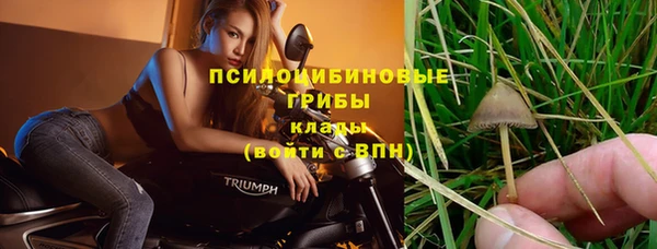 не бодяженный Медногорск