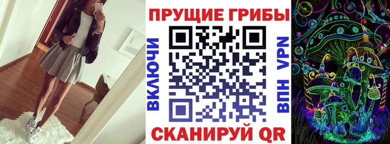 Псилоцибиновые грибы Psilocybine cubensis  Слюдянка 